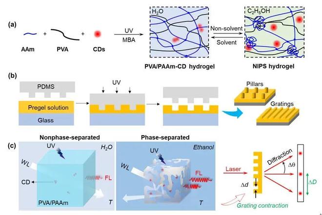 河南大学张文凯CM：溶剂响应型光子水凝胶：透射率、荧光与衍射的智能调控