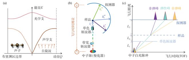 原子世界的“动态相机”：非弹性中子散射飞行时间谱仪